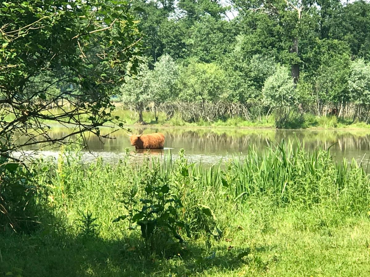 In De Tuin In Gees别墅 外观 照片