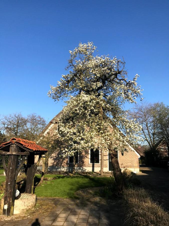 In De Tuin In Gees别墅 外观 照片